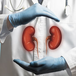 Kidney condtions treated at Kidney Specialists of Georgia | Lawrenceville Nephrology | Nnamdi Nwaohiri, MD, MPH